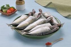 Large Mackerel / Garfa / Ayala - Whole Cleaned (includes head pieces)
