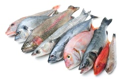 Mixed Fish Head - Curry Cut