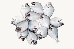 Silver Moony - Whole cleaned 