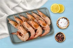 Premium Wild Caught Prawn / Kazhanthan / Jhinga (50 to 60 Count) - Whole (480g to 500g Pack)