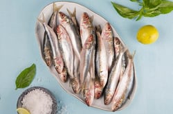 Premium Sardine / Mathi / ಭೂತಾಯಿ (Soft, fish belly might openup due to healthy oil) - Whole (without cleaning and cutting)