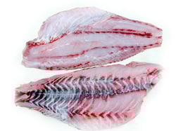 Black Spotted Rubber Lip  - Fillet