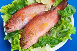 Red Grouper / Reef Cod / Kalava / Hamour / ಕೊಲಜಿ - Whole