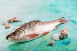 Rohu / Rui / ರೋಹು (650g to 900g) - Whole (Not Descaled,Not Cleaned, Not Cut)