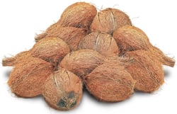 Coconut  Medium - 10pc Bag