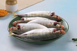 Shrimp Scad / Vatta Paara - Whole cleaned (480g to 550g Pack)