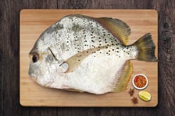 Silver Eagle - Whole