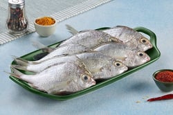 Long Rayed Silver Biddy / Pranjil - Whole (60g to 150g) (480g to 550g Pack)