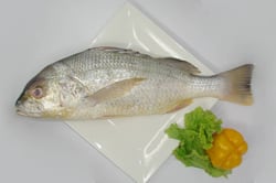 Silver Snapper / Cochin Marine Catla - Whole (Uncleaned, Not Descaled, Not Cut In Pieces) 