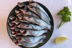 Tengra  / Tyangra / Koori - Whole cleaned (Kolkata fish, 5g to 50g) (480g to 500g Pack)