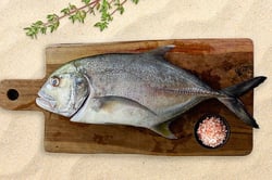 Kerala Trevally / Vatta (Large) - Whole Cleaned
