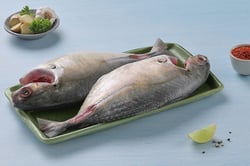 Trevally / Vatta (Medium) - Whole cleaned