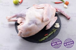 Turkey (Large) - Whole Bird (Pack of 1 Bird)