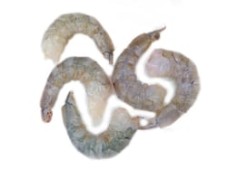 White Prawns / Poovalan Chemeen - PUD (Peeled & Undeveined) Meat