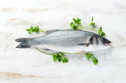 Wild Seabass (UAE Special) - Whole