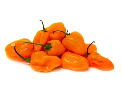 Chilli Habanero Orange (HL) - (Pack of 100g)