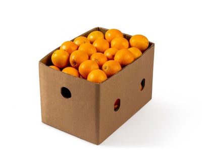 Orange Valencia (ZA) - 10kg Box