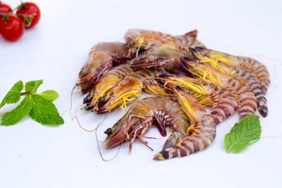 Flower Tiger Shrimp / روبيان النمر