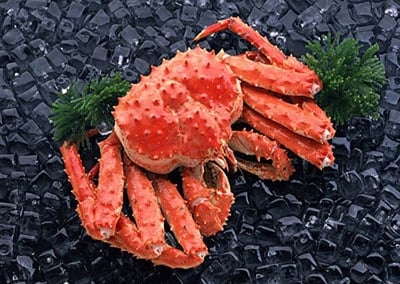 Alaskan King Crab / سرطان الملك الأحمر - سلطعون ملك ألاسكا