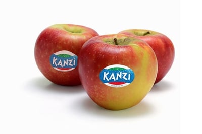Apple Kanzi (NL) / (تفاح هولندي (كنزي