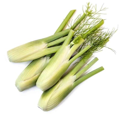 Baby Fennel (ZA) 200g Pack