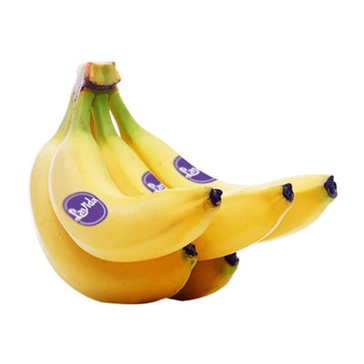 Banana Lavida 