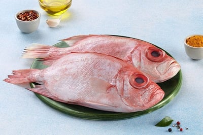 Big Eye Snapper (Small) - Whole (90g to 210g) (480g to 580g Pack)