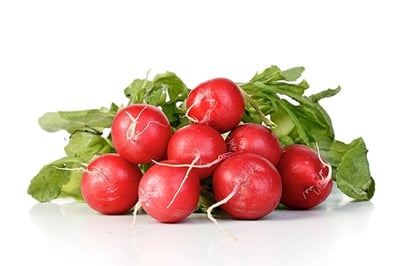 Organic Bio Farm Radish Red (AE) - Pack of 125g