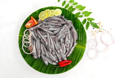 Black Anchovy / أنشوجة – أنشوفة سوداء صغيرة / Karutha Natholi / Dilis (Small & Crunchy)