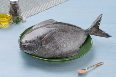 Black Pomfret / Karutha Avoli / Halwa Fish / ಮಾಂಜಿ (700g to 3kg) - Whole