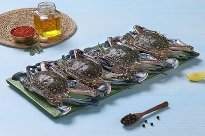 Blue Swimming Crab - Whole