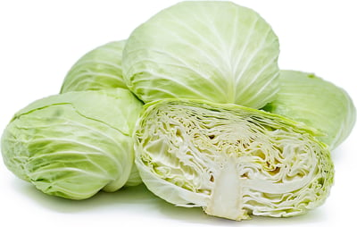 Cabbage Flat (AE) - / ملفوف مسطح محلي