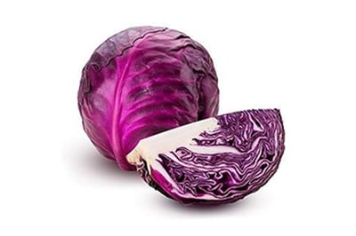 Cabbage Red Fresh