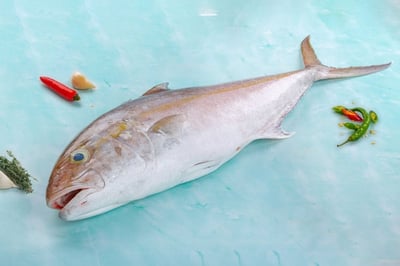 Shrimp Scad / سمك دردمان - متوسط الحجم / Vatta Paara (Medium to Large)
