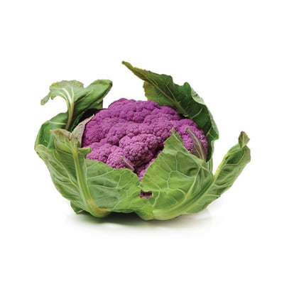 Cauliflower Purple - 1 Unit