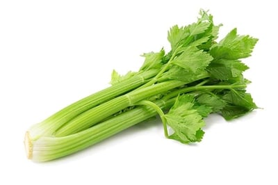 Celery (AE) - 1 Bunch / كرفس محلي