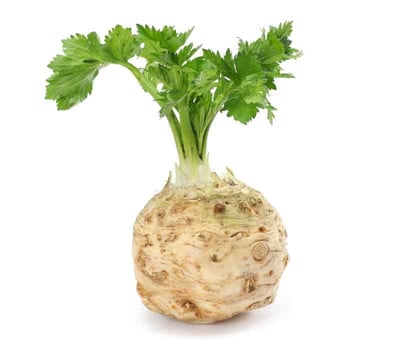 Celery Root (NL)