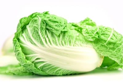 Cabbage Chinese