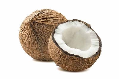 Coconut - Medium