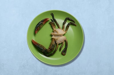 Mud Crab (Large) - Cut with Shell