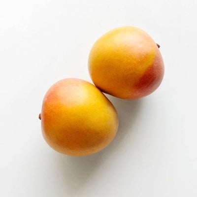 Mango R2E2 (VN)