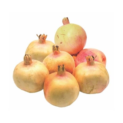 Pomegranate (CN)