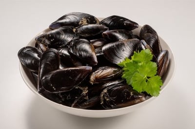 Dutch Mussel - Whole With Shell (Read the product description carefully)
