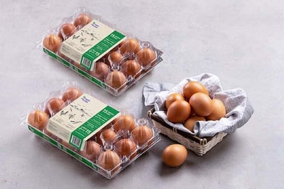 Egg Brown Pack of 15 x 2 Pack