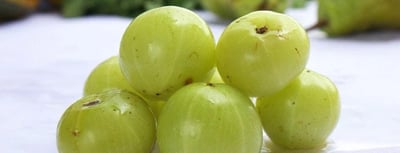 Imperfect Gooseberry 