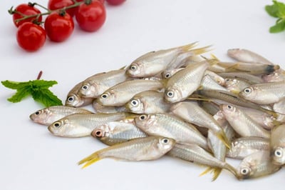 False White Sardine / Nandan (Thorny, great for fry) - Whole (Small) (480g to 580g Pack)