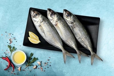 Finletted Mackerel / Kanni Ayala (Small) - Whole (480g to 580g Pack)