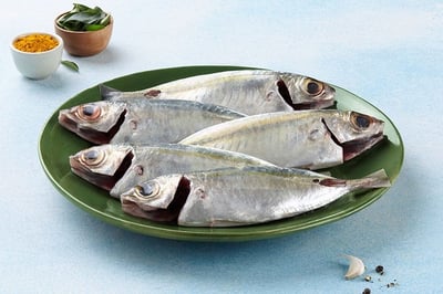 Finletted Mackerel / Kanni Ayala - Whole Cleaned (480g to 550g Pack)