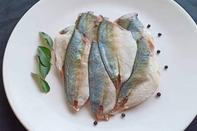 Freshly Frozen Shrimp Scad / Vatta Paara Fillets - 250g Pack