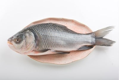 Catla (Extra Large 10-15Kg)